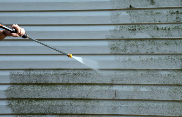 Best Deck Cleaning Services  in West Allis, WI